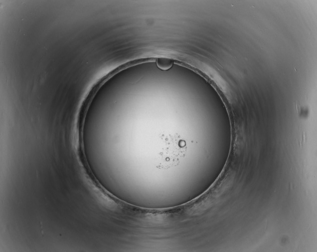 X0000102781080200808251110