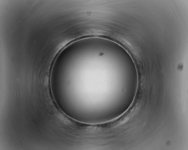 X0000102781081200808251110