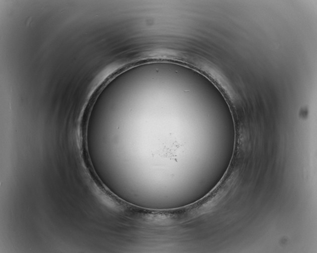 X0000102781082200808251110