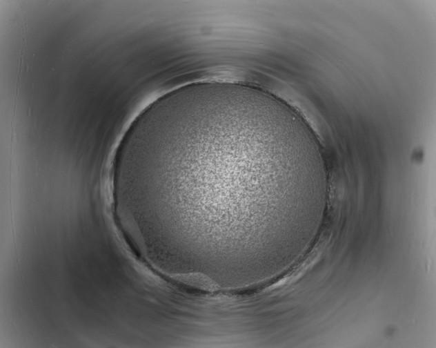 X0000102781083200808251110