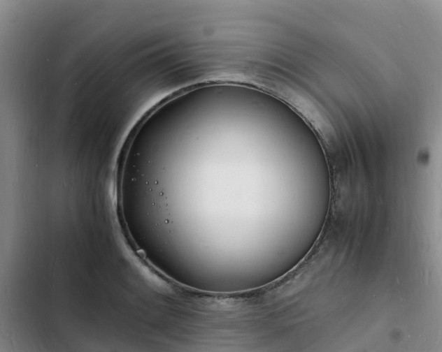 X0000102781084200808251110