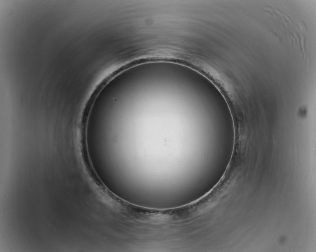 X0000102781085200808251110