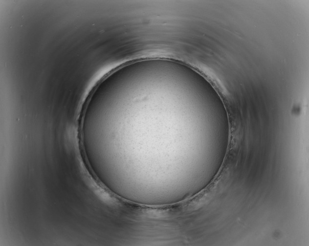 X0000102781086200808251110