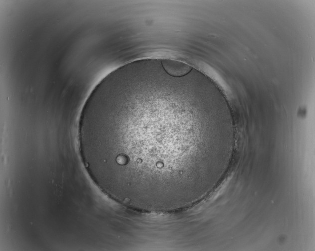 X0000102781087200808251110