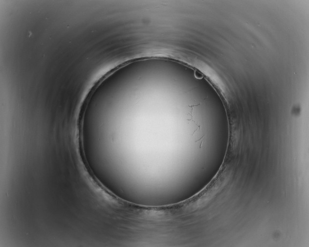 X0000102781088200808251110