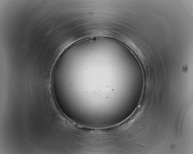 X0000102781089200808251110