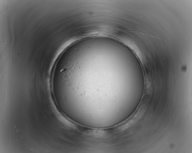 X0000102781090200808251110