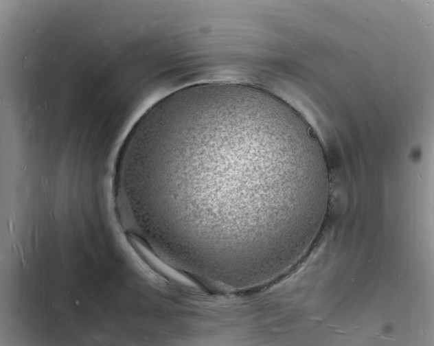 X0000102781091200808251110