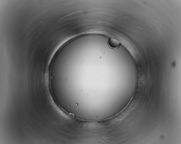 X0000102781092200808251110