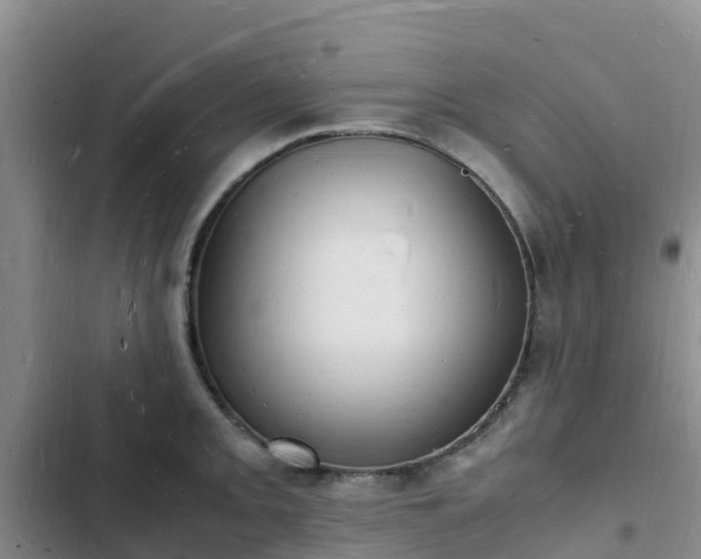 X0000102781093200808251110