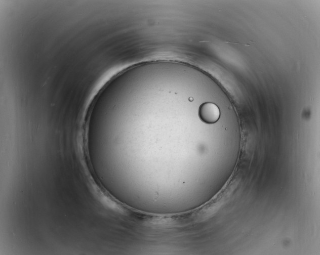 X0000102781094200808251110