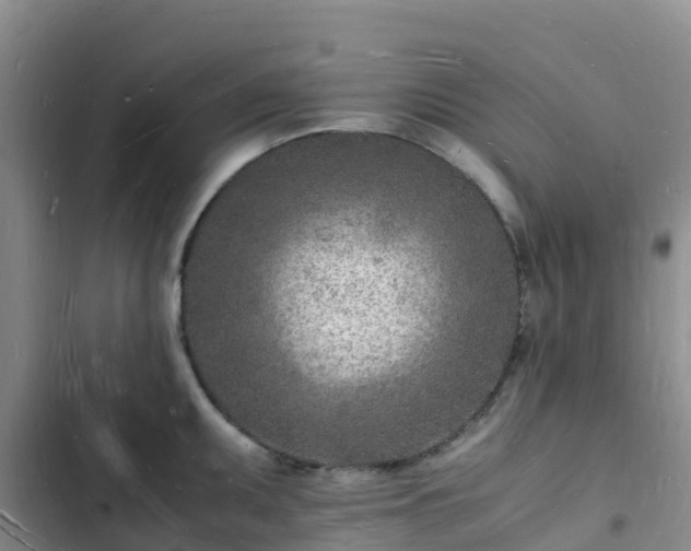 X0000102781095200808251110