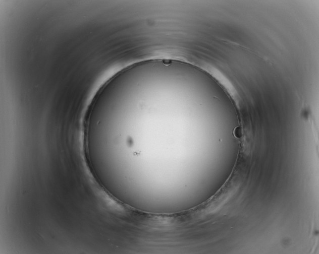 X0000102781096200808251110