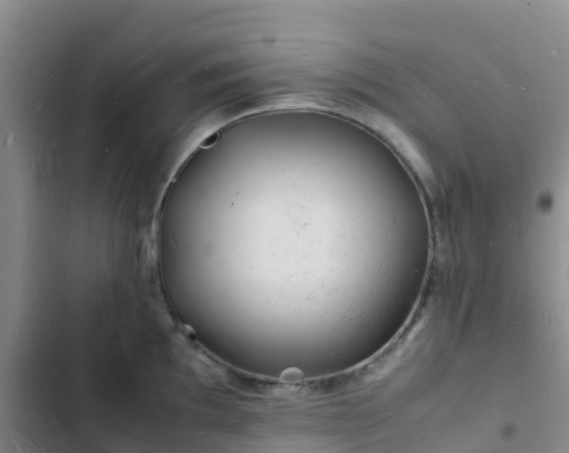 X0000102781097200808251110