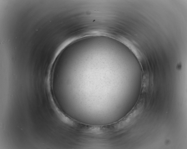 X0000102781098200808251110