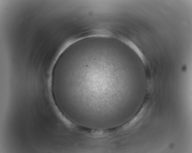 X0000102781099200808251110