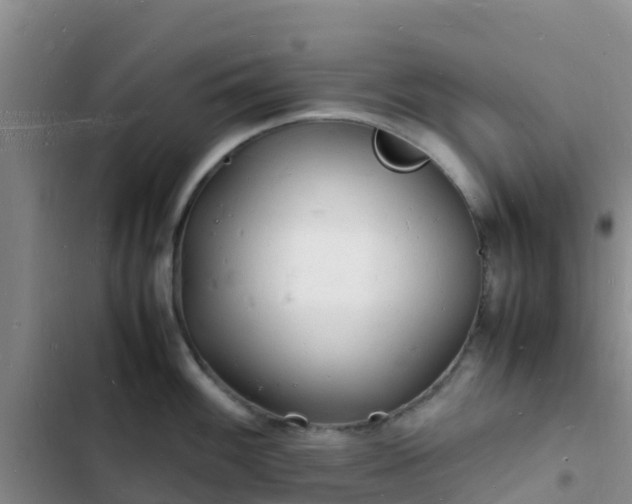 X0000102781100200808251109