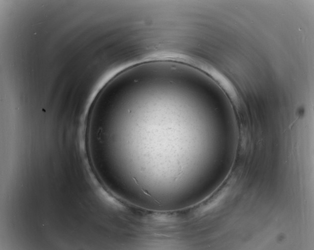 X0000102781102200808251109