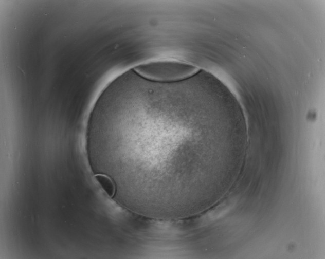 X0000102781104200808251109