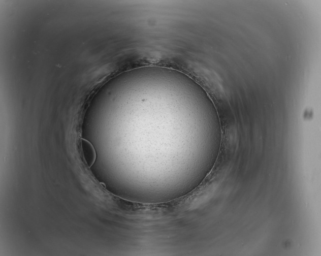 X0000102781105200808251109