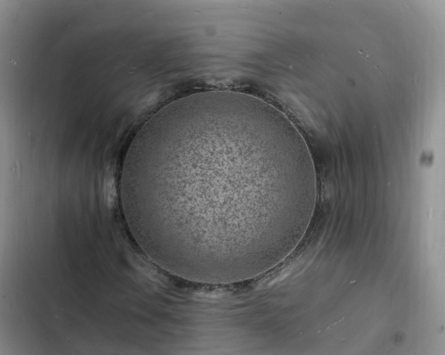 X0000102781106200808251109