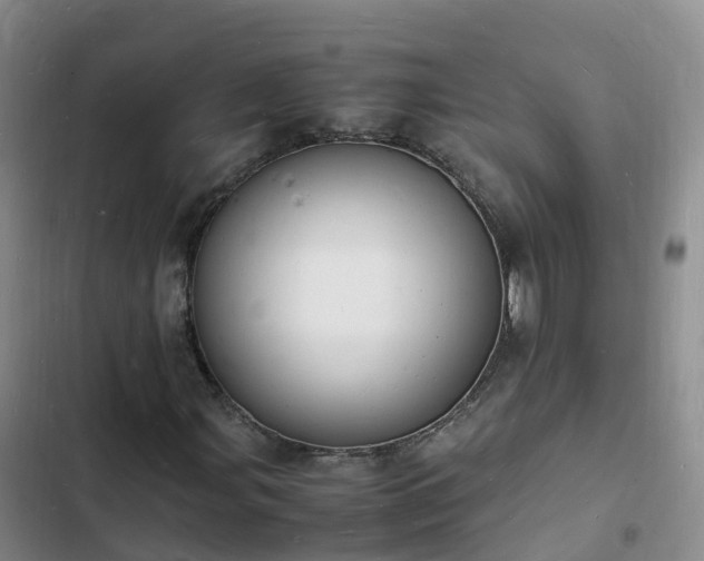 X0000102781107200808251109