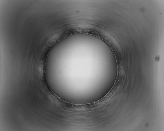 X0000102781108200808251109