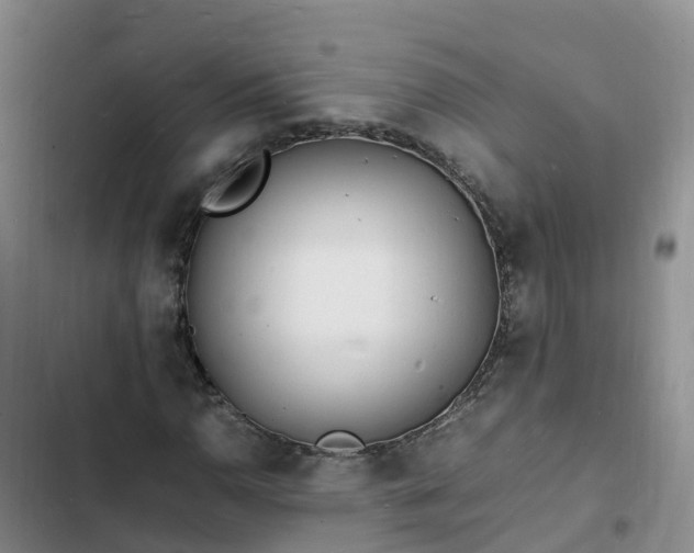 X0000102781110200808251109