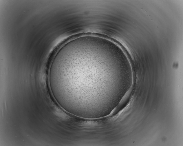 X0000102781115200808251109