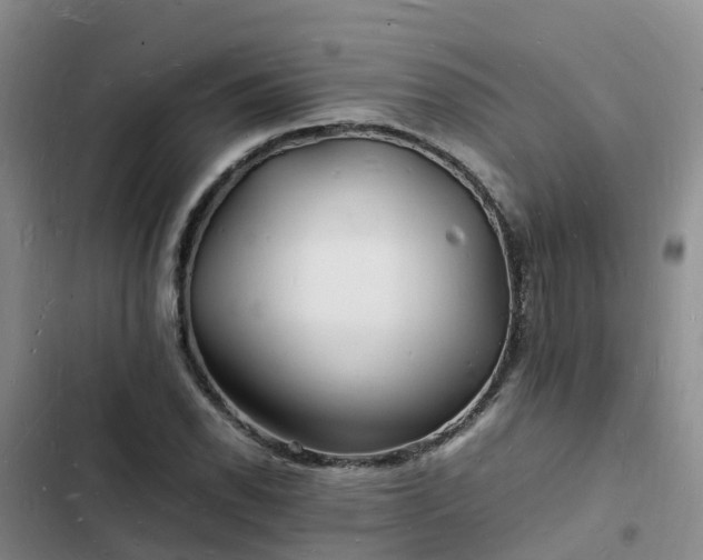 X0000102781118200808251109