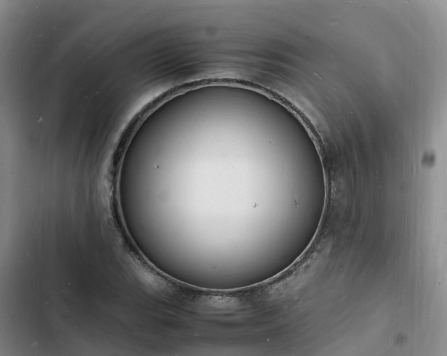 X0000102781119200808251109