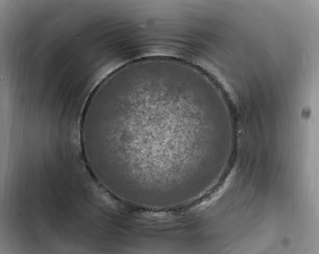 X0000102781121200808251109