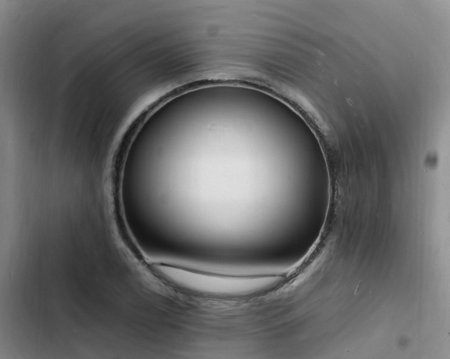 X0000102781122200808251109