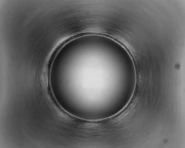 X0000102781123200808251109