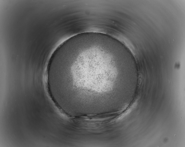 X0000102781125200808251109