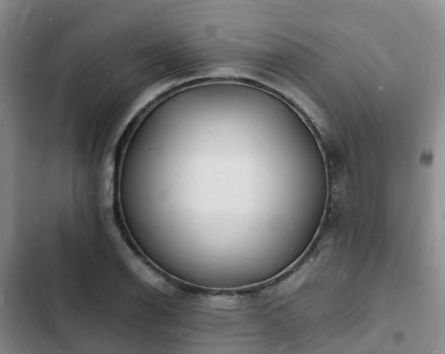 X0000102781126200808251109