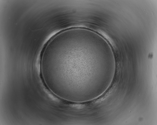 X0000102781127200808251109