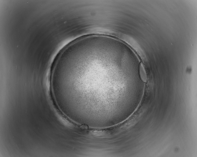 X0000102781128200808251109