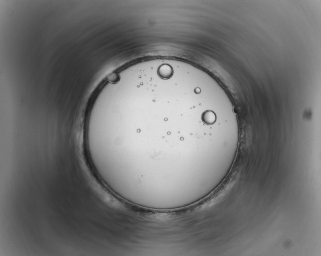 X0000102781130200808251109