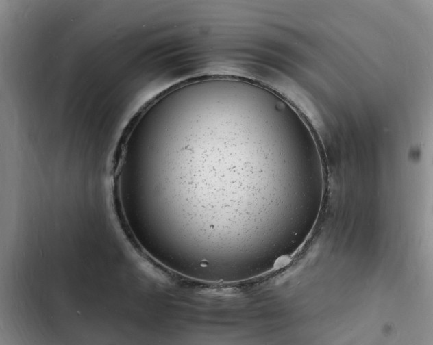 X0000102781133200808251109