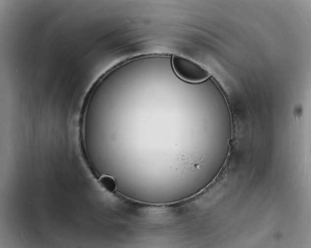 X0000102781134200808251109