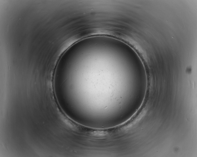 X0000102781137200808251109