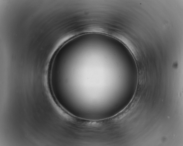 X0000102781139200808251109