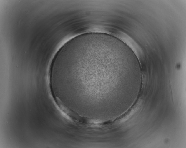 X0000102781141200808251109