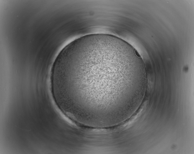 X0000102781142200808251109