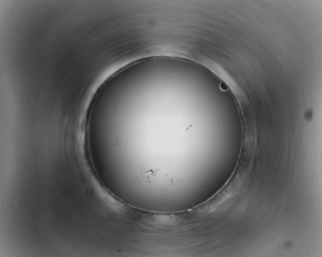 X0000102781144200808251109