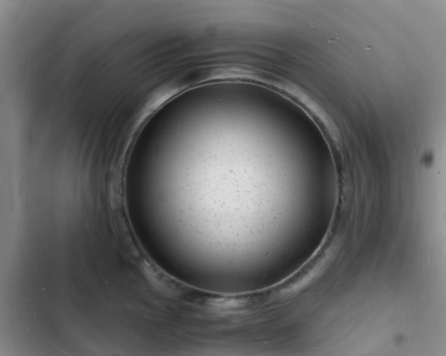 X0000102781145200808251109