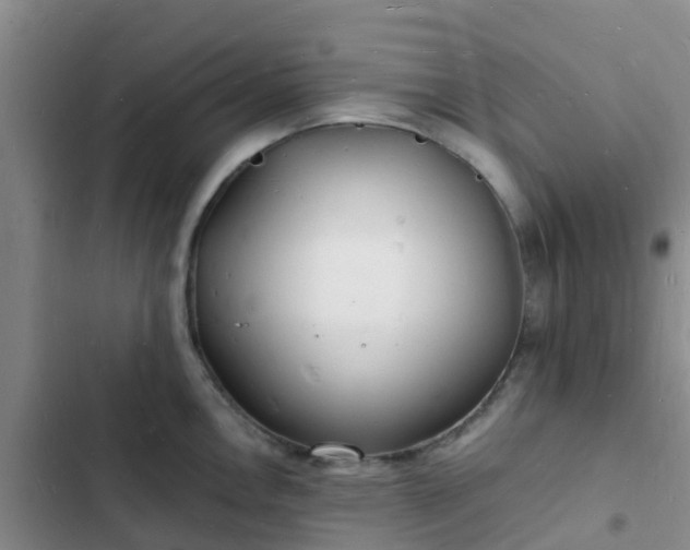 X0000102781146200808251109