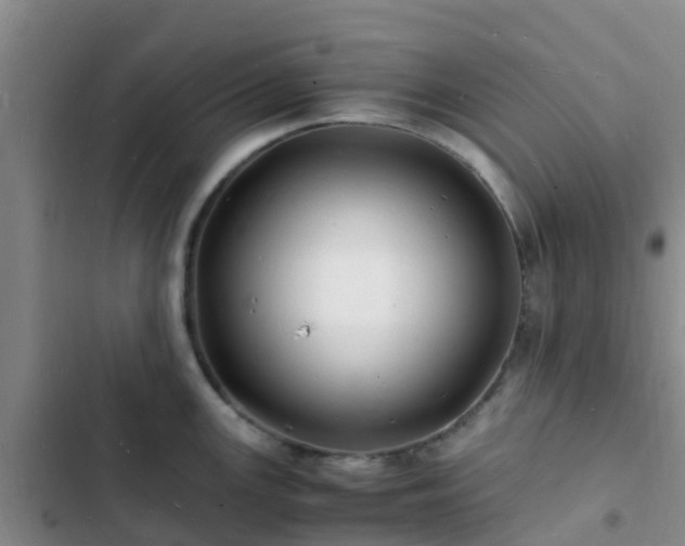 X0000102781147200808251109