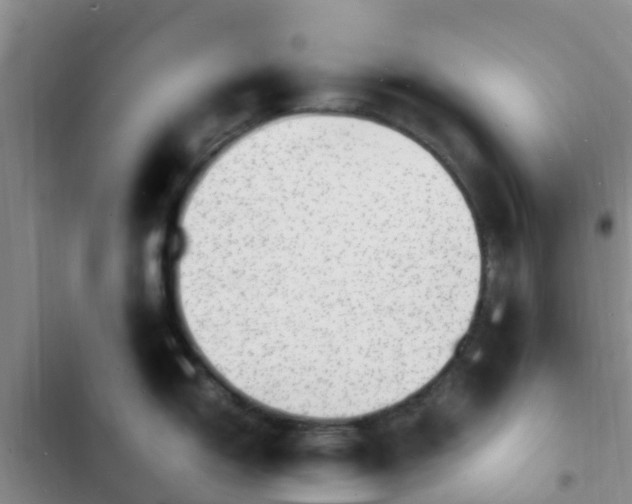 X0000102781150200808251109